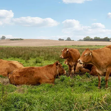 Ferienhaus Stunning In With Wifi *